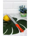 Peynir Rendesi - Limon - Portakal - Turunç Rendesi