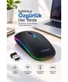 Pg9009 MOUSE