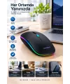 Pg9009 MOUSE