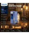 00 Corepro 2700k Ve E14 4.3 W 40 W Ve E27 Led Filament Ve Rustik Ampul Lamba 470 Lumen Cam Gövde IEGTHOV