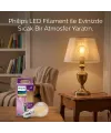 00 7 W 60 W Ve E27 Gold Color Led Filament Ve Rustik Ampul Lamba 806 Lumen Cam Gövde IEGE69F