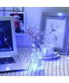 Pilli 5 Metre Dekoratif Peri Led Beyaz Aydınlatma Süsleme Lambası