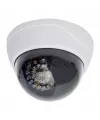 PM-1900 Gece Gündüz Sensörlü Maket Dome Kamera