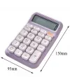 Powermaster PM-25411 Mor 12 Haneli Hesap Makinesi