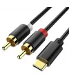 Powermaster PM-29963 2xRca To Type-C 2 Metre Kablo