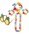 Renkli Ananas Gözlük, Taç, Kolye ve Bileklik Seti