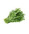 Roka Tohumu 10 Gr