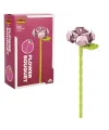 S01004694 Flower Set Tekli Gül 101PRÇ -sun