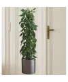 Saksılı Bitki Tasarımlı Yapışkanlı Sticker Resim 90*30 Cm