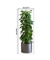 Saksılı Bitki Tasarımlı Yapışkanlı Sticker Resim 90*30 Cm