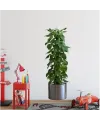 Saksılı Bitki Tasarımlı Yapışkanlı Sticker Resim 90*30 cm MC-665