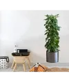 Saksılı Bitki Tasarımlı Yapışkanlı Sticker Resim 90*30 cm MC-665