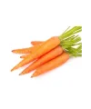 Sarı Havuç Tohumu 10 Gr
