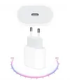 Şarj Aleti 25w Çift Usb-c Hızlı Şarz Cihazı