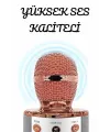 Şarjlı Ve Uzun Pil Ömürlü Karaoke Mikrofon Usb Bellek Destekli, Profesyonel Ses