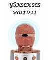 Şarjlı Ve Uzun Pil Ömürlü Karaoke Mikrofon Usb Bellek Destekli, Profesyonel Ses