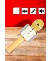 Şarjlı Ve Uzun Pil Ömürlü Karaoke Mikrofon Usb Bellek Destekli, Profesyonel Ses