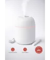 Sessiz Ultrasonik Hava Nemlendirici 220ml Buhar Makinesi Gece Lambalı Usb Ofis Ev Tipi