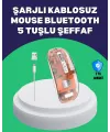 Sessiz Ve Ergonomik Kablosuz Fare - 30 Gün Kullanım, 2 Modlu Bağlantı