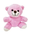 Sevimli Peluş Pembe Ayıcık
