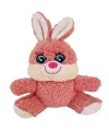 Sevimli Peluş Tavşan