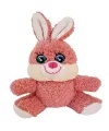 Sevimli Peluş Tavşan