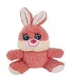 Sevimli Peluş Tavşan