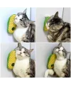 Silikon Kaşıyıcılı Kedi Otu