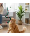 Süs Tasarımlı Kedi Oltası