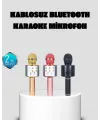 Taşınabilir Karaoke Mikrofon – Bluetooth, Usb Ve Aux Girişli