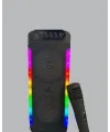 Taşınabilir Şarjlı Hoparlör Usb, Sd Kart, Aux Girişli