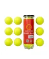 Tenis Topu 9’lu Set Antrenman Ve Maç İçin Dayanıklı Toplar