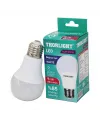 9.3 W E27 Beyaz Led Ampul IEGLR75