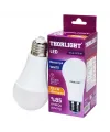 12.3 W E27 Beyaz Led Ampul IEGGX8H