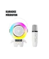 TK-66 Karaoke Speaker