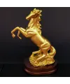 Toptan Şaha Kalkan Gold Renk At Biblosu
