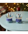 Toptan Winter Temalı Sevimli Çiftler Mini Işıklı Kar Küresi