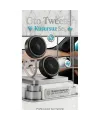 TS-S250 Eversonic Tweeter Seti 350W Yüksek Performans Kristal Netliğinde Tiz Ses Hoparlörü  723158