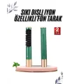 Üflemeli Saç Düzleştirici Fön Tarak Yüksek Isı Ayarlı İyon Özellikli