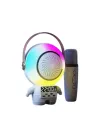 XM-X66 Karaoke Mikrofon