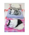 Yastıkta Uyuyan Kedi Sesli Alk24