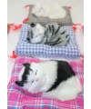 Yastıkta Uyuyan Kedi Sesli IEG24