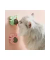 Yengeç Kedi Otu Oyun Topu