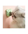 Yengeç Kedi Otu Oyun Topu