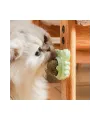 Yengeç Kedi Otu Oyun Topu