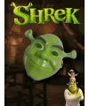 Yeşil Shrek Maskesi 21x25 Cm