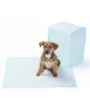 Yıkanabilir Köpek Çiş Pedi - 100 X 100 Cm
