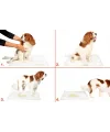 Yıkanabilir Köpek Çiş Pedi - 100 X 100 Cm 5li Paket