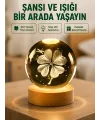 Yonca Figürlü Cam Küre Usb Işıklı Ahşap Tabanlı Dekoratif Masa Lambası