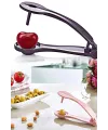 Zeytin Çekirdeği Çıkartma Aparatı